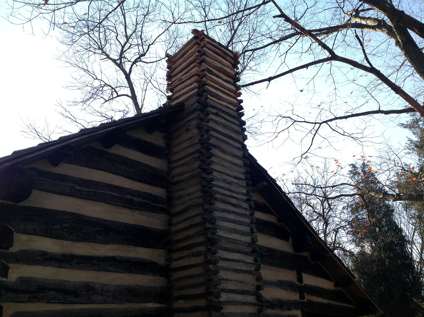 /img/Schoenbrunn Log Cabin Restoration 57 