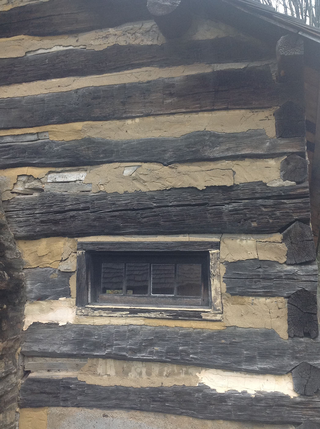 /img/Schoenbrunn Log Cabin Restoration 8 